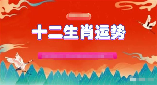 澳门精准一肖一码一一中，习俗释义、解释与落实