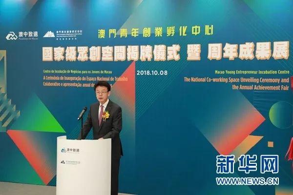 澳门直播新篇章，2025特马直播的坚决释义与落实策略