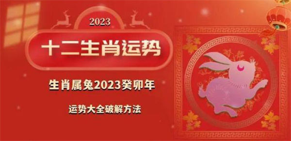 揭秘2004年生肖预测，精准一肖一码背后的奥秘与真相探索